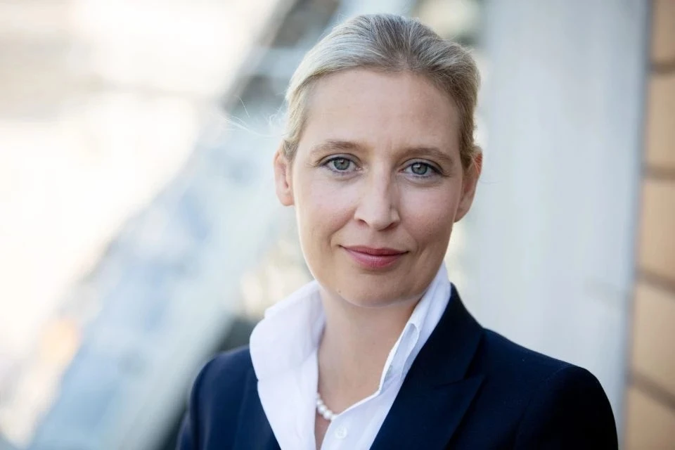 Waldzünder Trading Experte